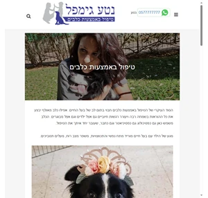 טיפול באמצעות כלבים