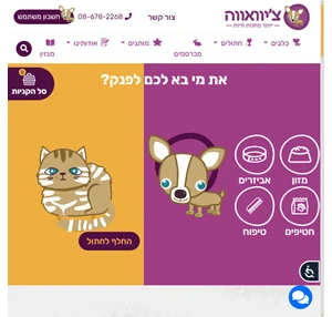  צ