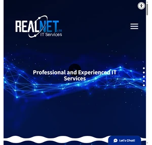 RealNet Professional and Experienced IT Services
