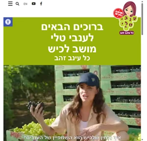 ברוכים הבאים לאתר ענבי טלי - כל עינב זהב