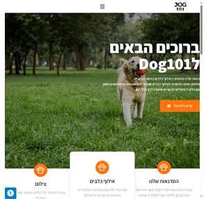 dog101 - אילוף כלבים ע"י מומחים