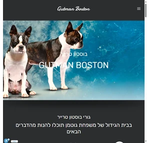 Gutman Boston - Boston Terrier Kennel בית גידול לבוסטון טרייר