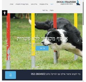 אילוף כלבים - dogsandtrainers