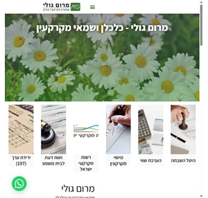 שמאי מקרקעין וכלכלן מרום גולי משרד שמאות מקרקעין משנת 2008