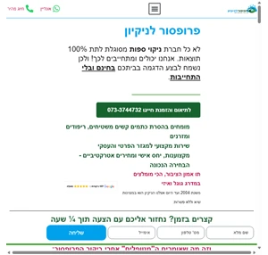 ניקוי ספות מקצועי מבית "פרופסור לניקיון" - חברה לניקוי ספות 