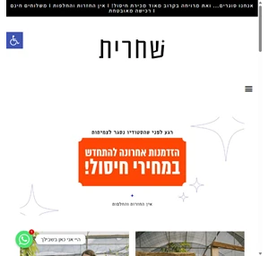 סטודיו שחרית אופנה צנועה חנות האונליין לאופנה צנועה שמלות מטפחות