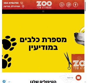 מספרת כלבים במודיעין טיפוח מקיף לכלב שלך ZOO המספרה שלי