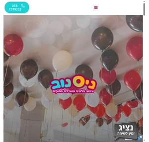 דוד ניסנוב - עיצוב בלונים ומארזי מתוקים