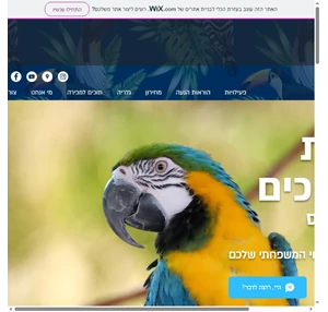 תוכים למכירה כפר הס חוות התוכים