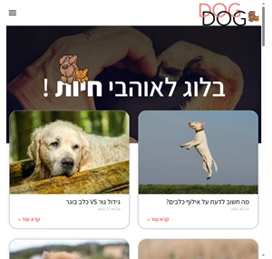 דוג דוג