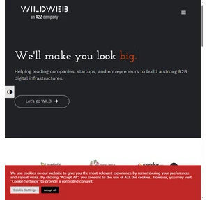 WildWeb Digital Agency for Startups