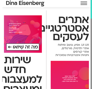 dina eisenberg - חנויות אינטרנטיות ואתרים אסטרטגיים לעסקים