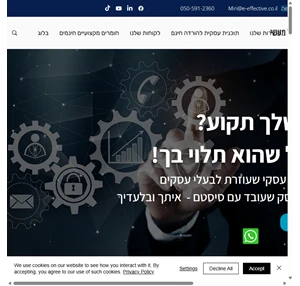 E-effective ישראל ליווי עסקי למנהלים ערן שומרון יועץ עסקי