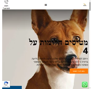 רביבולושן דוגס - Revivolution Dogs - מטיסים חלומות על ארבע 