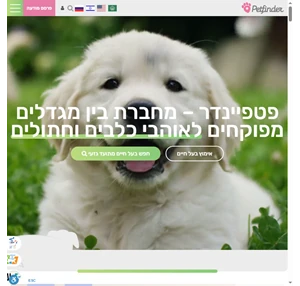 האתר המוביל לכלבנות מתועדת petfinder - פטפיינדר