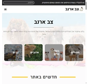 צב ארנב - בלוג אינטראקציות בין שלל בעלי חיים