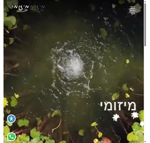 בריכות אקולוגיות - Mizumi מיזומי בריכות אקולוגיות