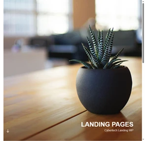 landing pages - cybertech landing wp