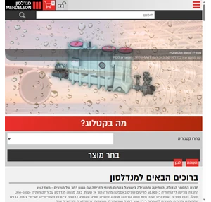 מנדלסון החברה המובילה בישראל בתחום מוצרי הזרימה וההולכה