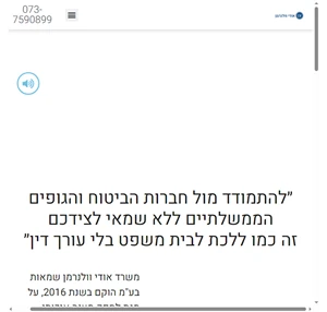 אודי וולנרמן