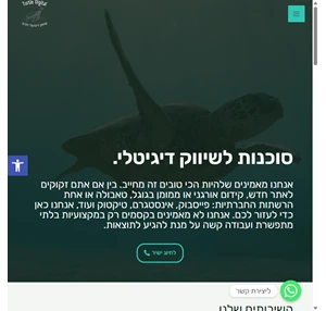 Turtle Digital - שיווק דיגיטלי חכם