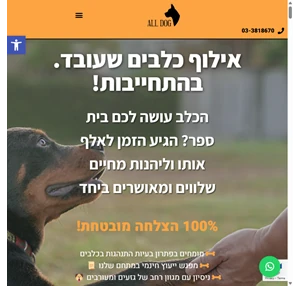 alldog-center.co.il כל כלב עושים סוף לבעיות משמעת בכלבים