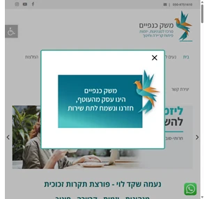 הרצאות וסדנאות מגדר שוויון מגדרי נעמה שקד לוי פורצת תקרות זכוכית