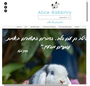 הארנבים של אליס ארנביה וקליניקה טיפולית עם ארנבים