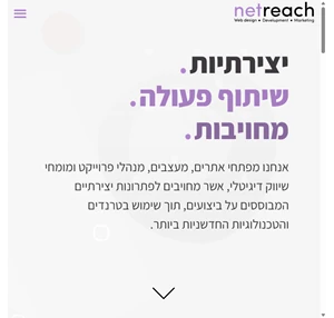 Netreach - פיתוח עיצוב וקידום אתרים רק אצל נטריץ