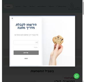 טטי קורן