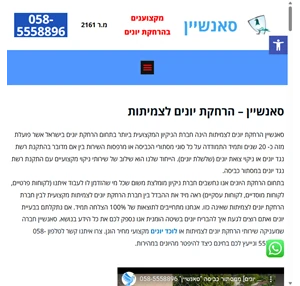 הרחקת יונים במחיר הכי זול הרחקה לצמיתות סאנשיין