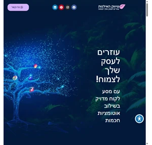 שיווק האילנות עוזרים לעסק שלכם לצמוח בעזרת מחקר מעמיק ותכנון נכון .