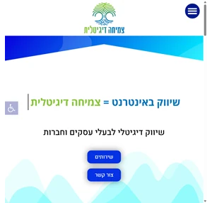 שיווק דיגיטלי - המקפצה הדיגיטלית של העסק שלך מתחילה אצלנו צמיחה דיגיטלית