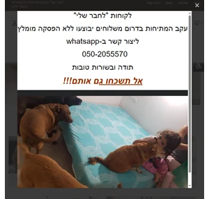 לחבר שלי