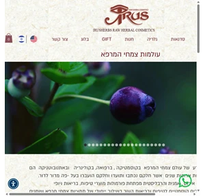 צמחי מרפא רפואה טבעית קוסמטיקה טבעית irusherbs מחוז הדרום