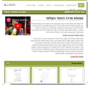 mchesed.com