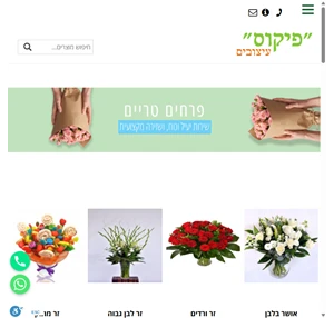 פיקוס עיצובים רמת גן