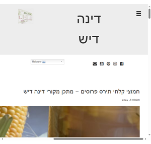 בית - דינה דיש