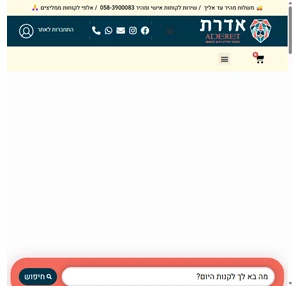 בית אדרת - אומנות יהודית