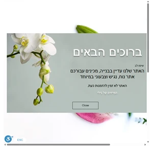 זרי פרחים הפרחים של גילי מודיעין מכבים רעות